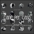 Cane per caso