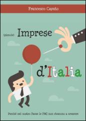 (Piccole) imprese d'Italia. Perché nel nostro Paese le PMI non riescono a crescere