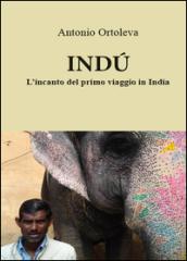 Indù. L'incanto del primo viaggio in India