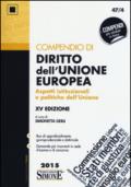 Compendio di diritto dell'Unione Europea. Aspetti istituzionali e politiche dell'Unione