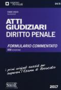 Atti giudiziari. Diritto penale. Formulario commentato