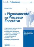 Il pignoramento nel processo esecutivo. Con espansione online