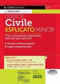 Codice civile esplicato. Ediz. minor