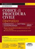 Codice di procedura civile operativo. Annotato con dottrina e giurisprudenza. Con aggiornamento online