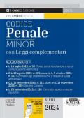 Codice penale. Leggi complementari. Con aggiornamento online