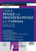 codice penale e di procedura penale per l'udienza minor