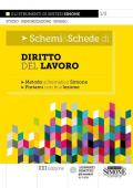 Schemi & schede di diritto del lavoro