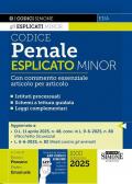 Codice penale esplicato. Con commento essenziale articolo per articolo. Ediz. minor. Con App Codici Simone per un codice sempre aggiornato