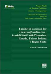 I giudici di common law e la (cross) fertilization. I casi di Stati Uniti d'America, Canada, Unione Indiana e Regno Unito