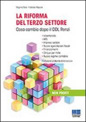 La riforma del terzo settore. Cosa cambia dopo il DDL Renzi