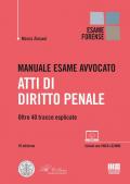 Manuale esame avvocato. Atti di diritto penale. Oltre 40 tracce esplicate