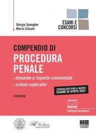 Compendio di procedura penale