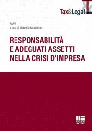 Responsabilità e adeguati assetti nella crisi d'impresa