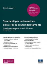 Strumenti per la risoluzione della crisi da sovraindebitamento. Procedure e strategie per la tutela di imprese, consumatori ed enti