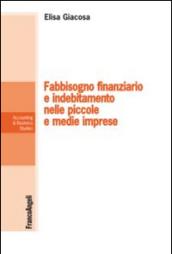 Fabbisogno finanziario e indebitamento nelle piccole e medie imprese