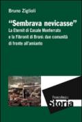 Sembrava nevicasse. La Eternit di Casale Monferrato e la Fibronit di Broni: due comunità di fronte all'amianto