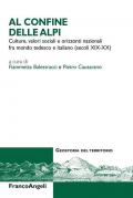 Al confine delle Alpi. Culture, valori sociali e orizzonti nazionali tra mondo tedesco e italiano (secoli XIX-XX)