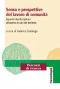 Senso e prospettive del lavoro di comunità. Sguardi interdisciplinari attraverso le voci del territorio