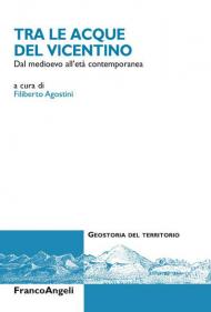 Tra le acque del Vicentino. Dal medioevo all'età contemporanea