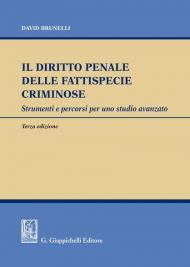 Il diritto penale delle fattispecie criminose. Strumenti e percorsi per uno studio avanzato