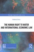 The human right to water and international economic law