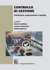 Controllo di gestione. Pianificazione, programmazione e reporting