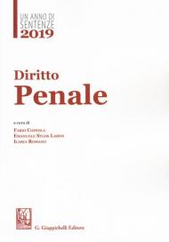 2019. Un anno di sentenze. Diritto penale