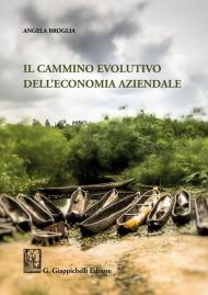 Il cammino evolutivo dell'economia aziendale