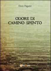 Odore di camino spento