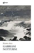 Gabbiani notturni