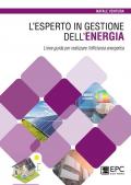 L'esperto in gestione dell’energia. Linee guida per realizzare l’efficienza energetica