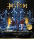 Harry Potter. Gli scacchi di Hogwarts. Magia pop-up. Ediz. a colori