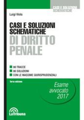 Casi e soluzioni schematiche di diritto penale