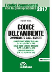 Codice dell'ambiente