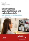 Smart working: come trasformare una caduta in un tuffo. Punti di attenzione in ambito pubblico