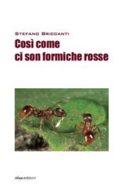 Così come ci son formiche rosse