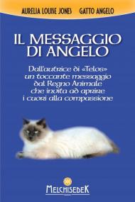 Il messaggio di Angelo