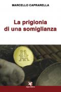 La prigionia di una somiglianza