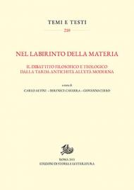 Nel labirinto della materia. Il dibattito filosofico e teologico dalla tarda antichità all'età moderna