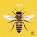 Ape. Primi libri fotografici per osservare la natura da vicino! Ediz. a colori