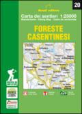 Foreste casentinesi