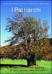 I patriarchi. Itinerari turistici per scoprire gli alberi secolari della Romagna