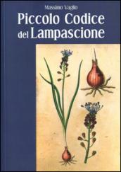 Piccolo codice del lampascione