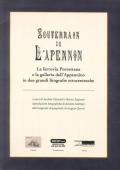 Souterain de l'Apennin. La ferrovia Porrettana e la galleria dell'Appennino in due grandi litografie ottocentesche. Ediz. illustrata