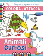 Animali curiosi