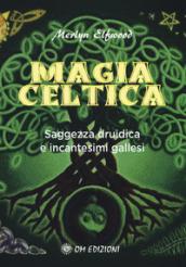 Magia celtica. Saggezza druidica ed incantesimi gallesi