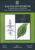 Salvia divinorum. Dai riti degli sciamani alla farmacologia molecolare