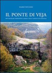 Il ponte di Veja