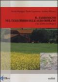 Il fabbisogno nel territorio dell'agro romano. Una analisi sociologica