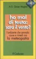 Ho mal di testa: sarà il vento? L'ambiente che ammala: cause e rimedi con la meteopatia